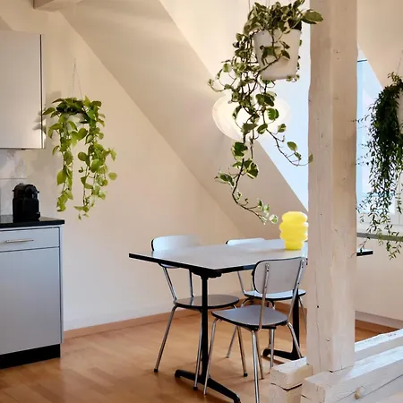 Flora Sixty-one Daire